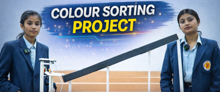 Color Sorting Project